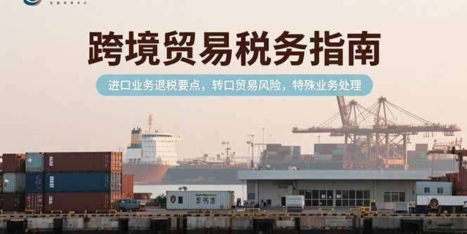 跨境贸易税务指南，进口业务退税要点，转口贸易风险，特殊业务处理