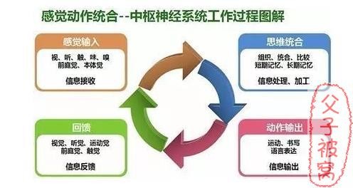 王凤萍《21天儿童感觉统合训练营》视频课程插图