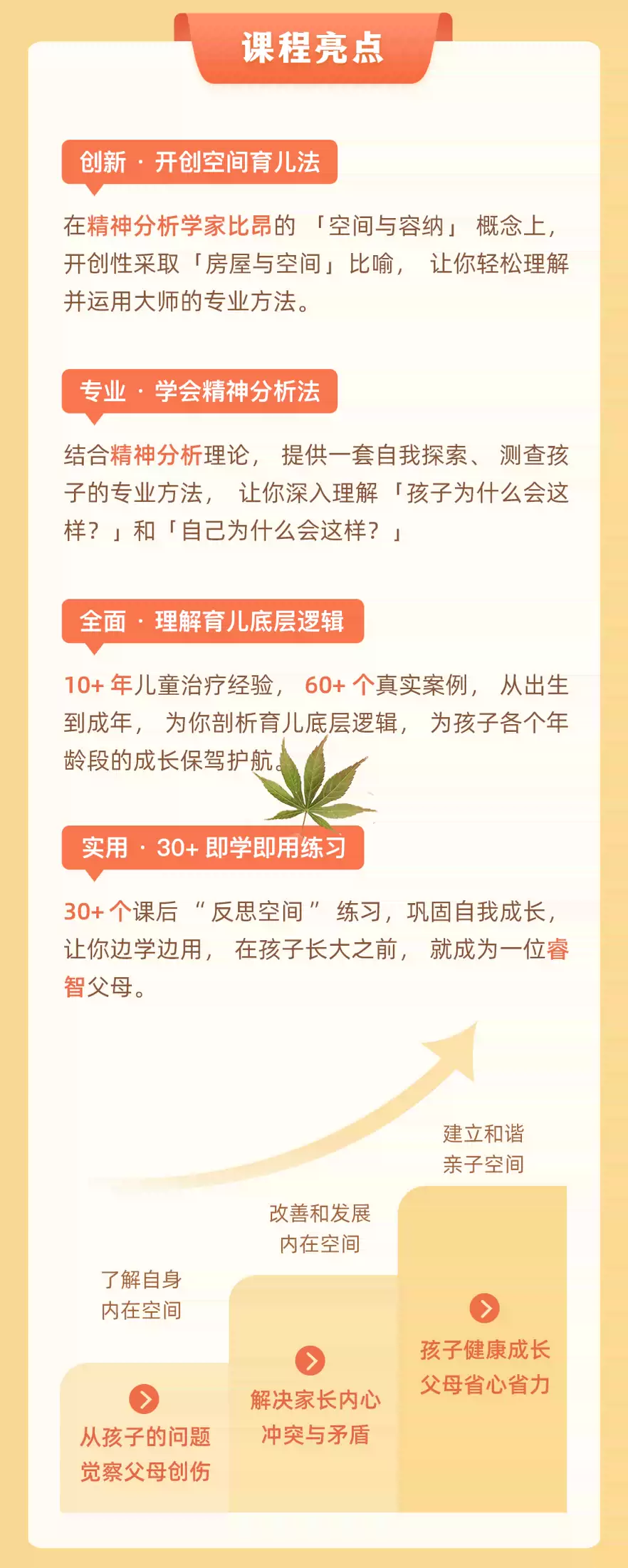 育儿30讲：激活父母内在空间，成就自带光芒的孩子插图