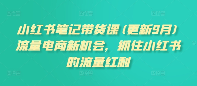 （第16017期）-小红书笔记带货课(更新25年5月)流量电商新机会，抓住小红书的流量红利