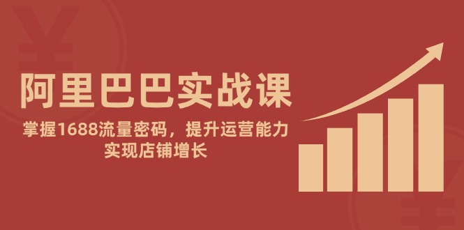 （第17306期）-阿里巴巴实战课：掌握1688流量密码，提升运营能力，实现店铺增长