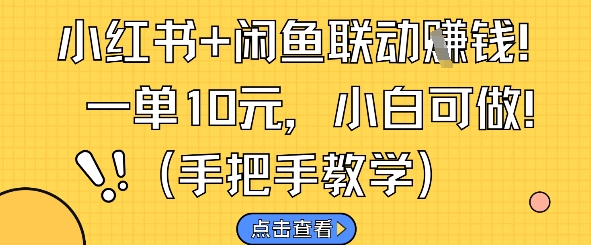 （第17286期）-小红书+闲鱼联动挣钱，一单10元，小白可做