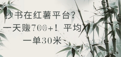 （第17291期）-抄书在小红薯平台？平均一单30米，一天收益几张！